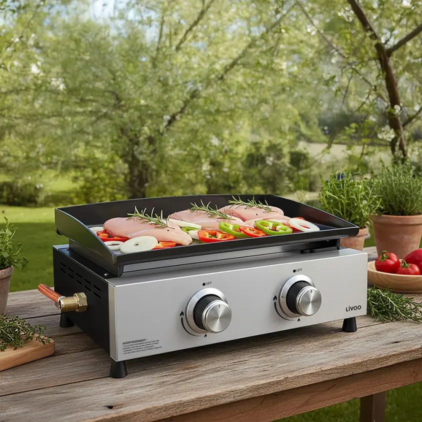 plancha-gaz-2-bruleurs (3).webp
